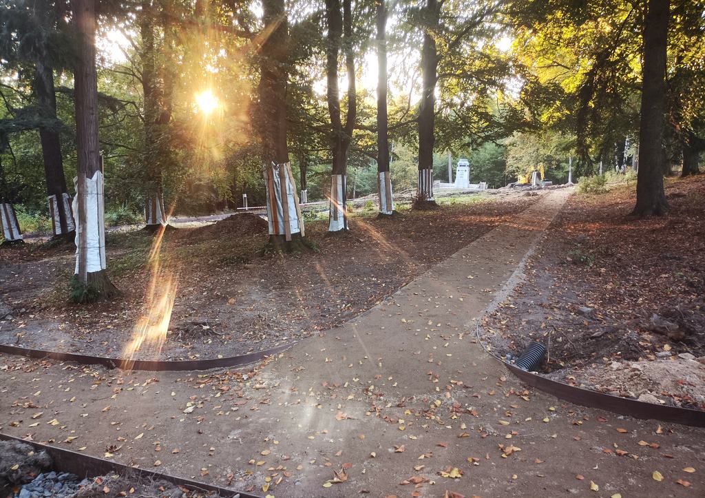 Výsledky práce 34: revitalizace lesoparku Kokonín